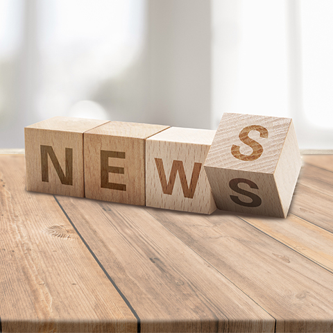 常見的撕碎機有哪些類型？